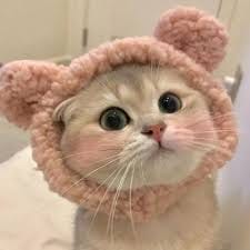 Sitor Situmorang avatar