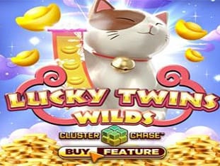 Lucky Twins Wilds screenshot