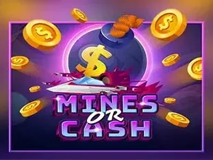 Mines Or Cash screenshot